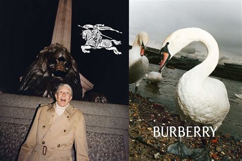 burberry daniel lee campaign|bottega veneta Burberry.